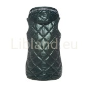 LD-7004-Big-GREE1.jpg