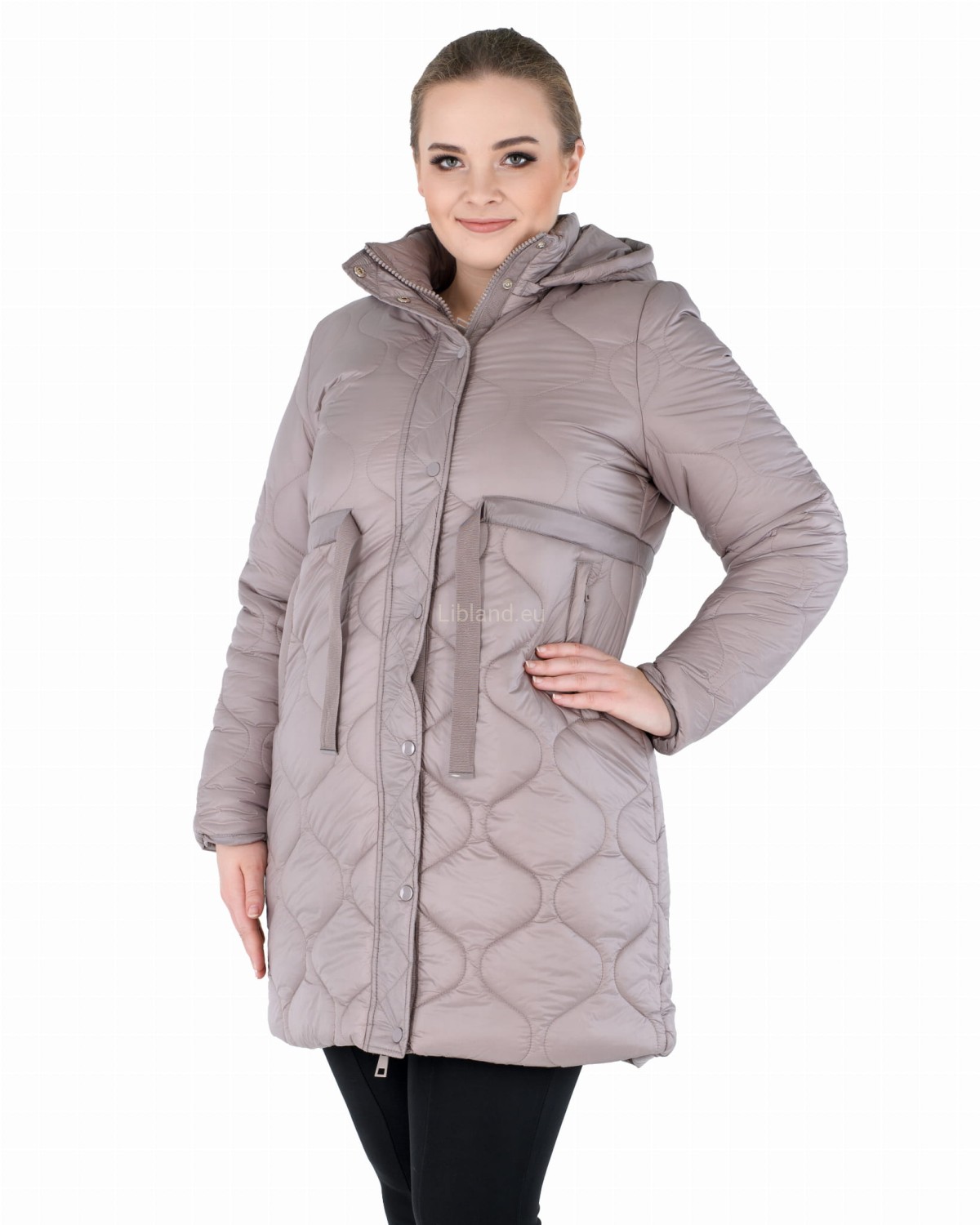 LD-7738-Plus (54 -> 62)